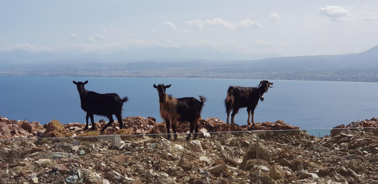 Ocean Villas Complex Agia Pelagia Kythira المظهر الخارجي الصورة