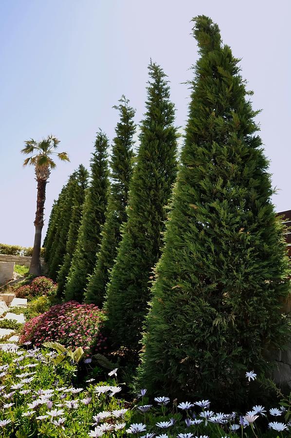 Ocean Villas Complex Agia Pelagia Kythira المظهر الخارجي الصورة